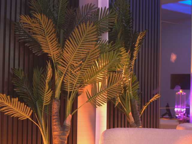 NouraMalvi