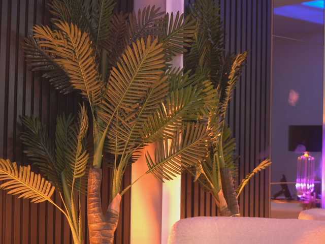 NouraMalvi