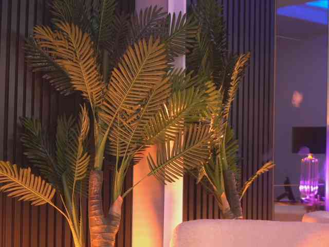 NouraMalvi