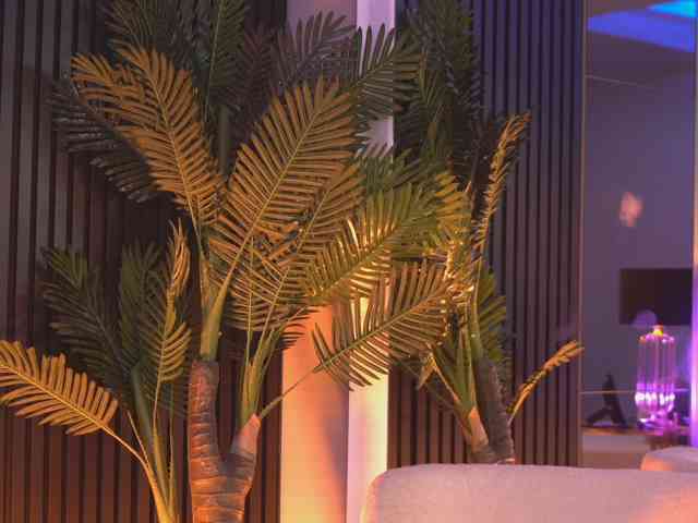 NouraMalvi