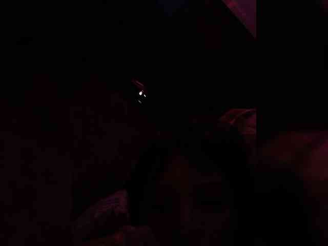 Lud8796 Live Webcam on BongaCams