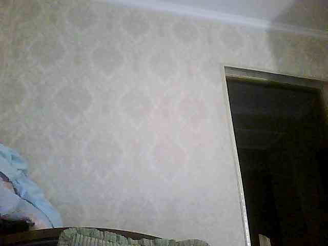Svera2 webcam