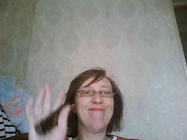 Svera2 webcam