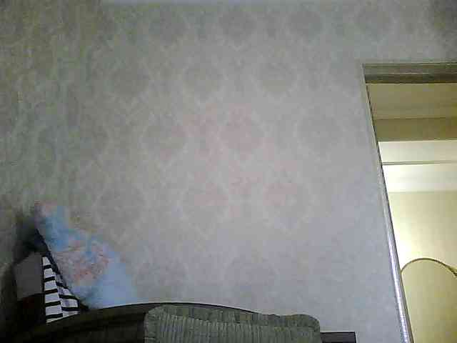 Svera2 webcam