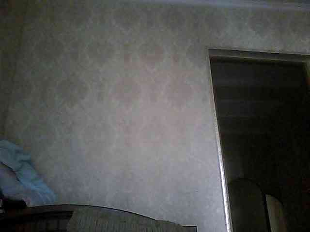 Svera2 webcam