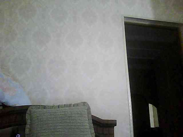 Svera2 webcam