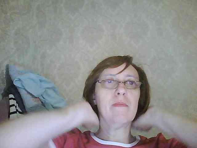 Svera2 webcam