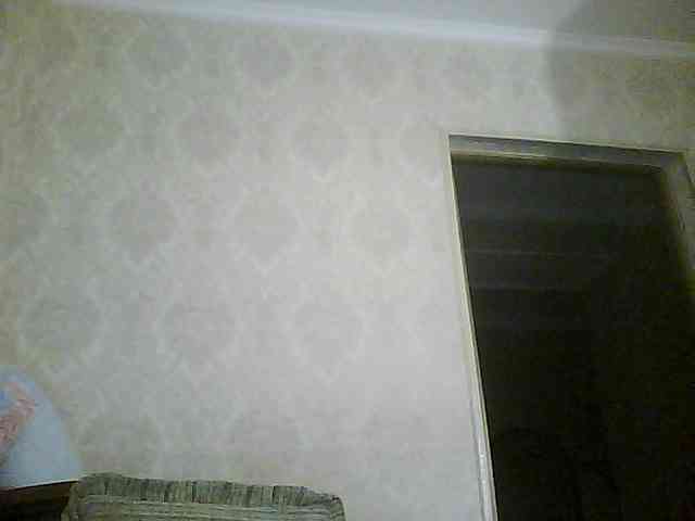 Svera2 webcam