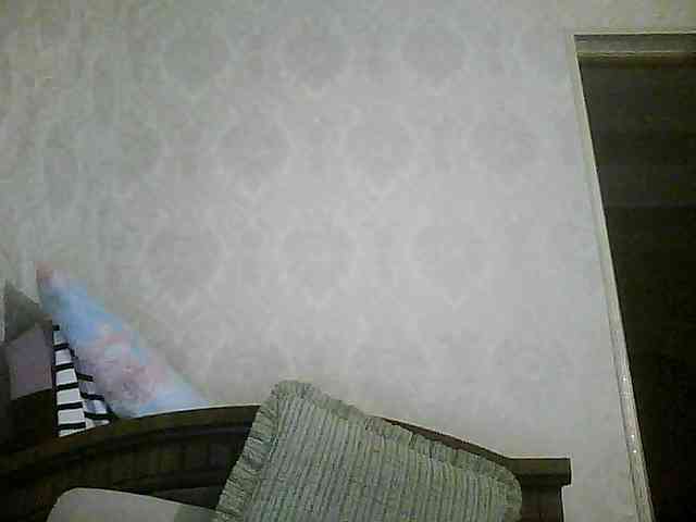 Svera2 webcam