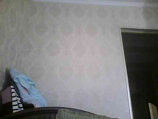 Svera2 webcam