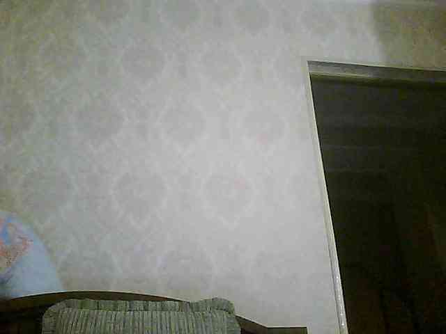 Svera2 webcam