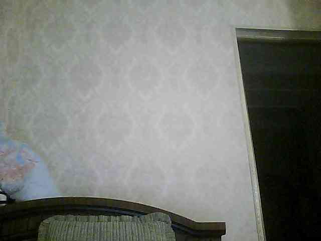 Svera2 webcam