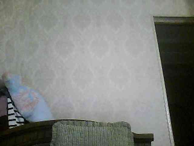 Svera2 webcam