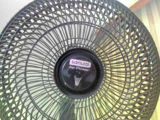 MimiRose1 webcam