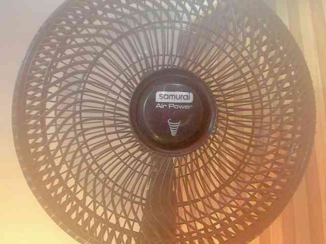 MimiRose1 webcam