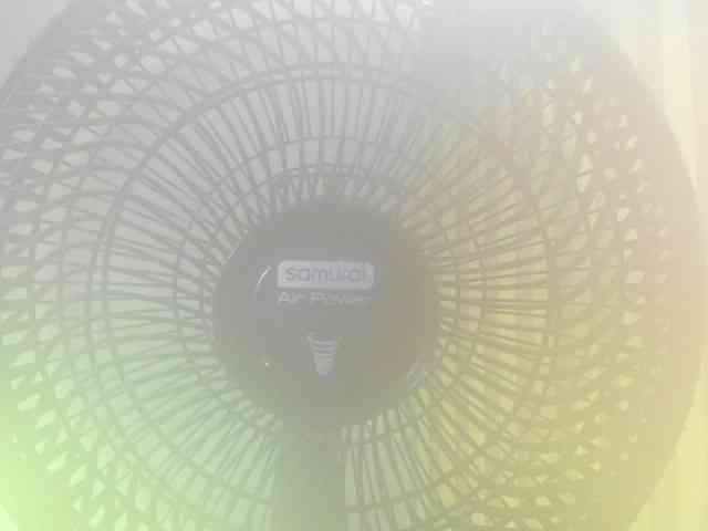 MimiRose1 webcam