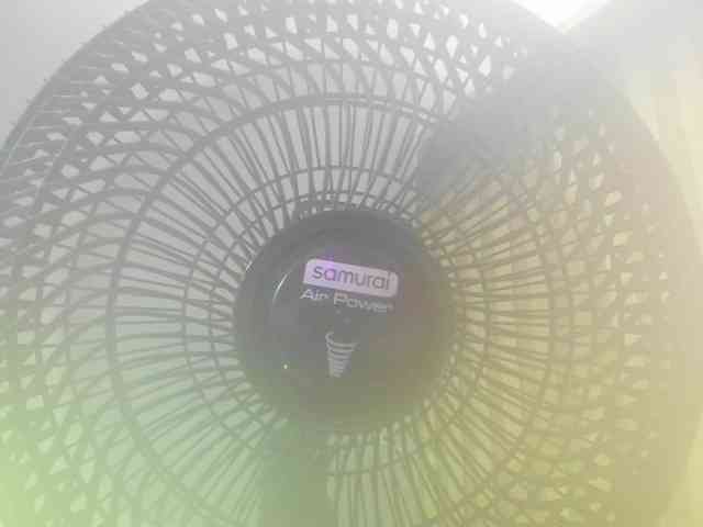 MimiRose1 webcam