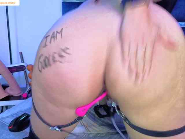 LilSlave webcam