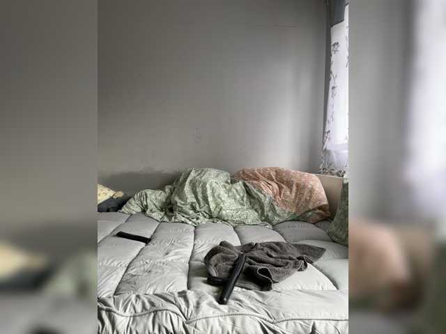 Archibald2288