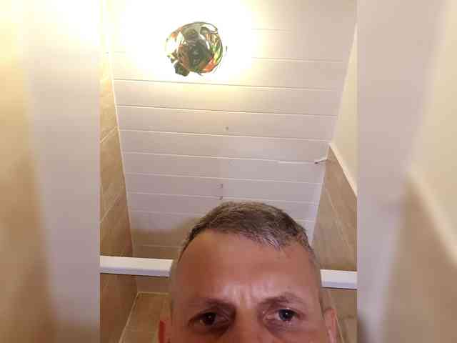 Archibald2288