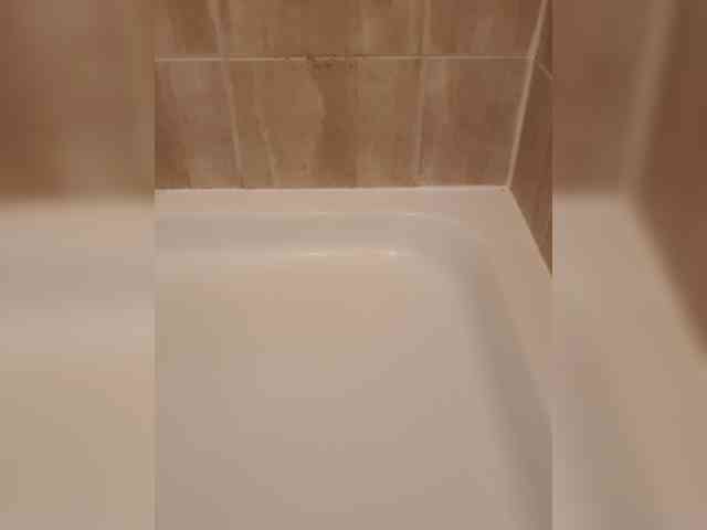 Archibald2288