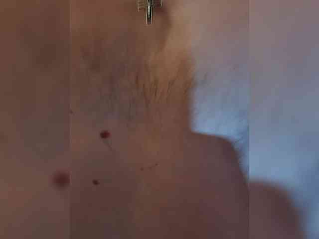 Archibald2288