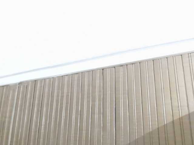 brianasofia-ts