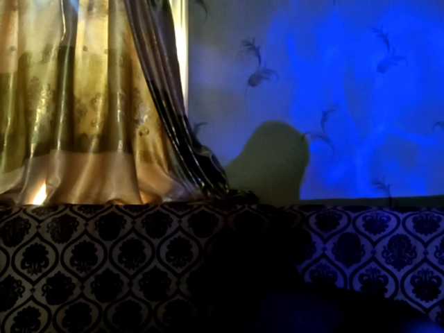 DevonaVanvolkenburg live cam on BongaCams