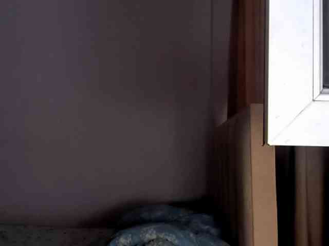 NessaDevona webcam