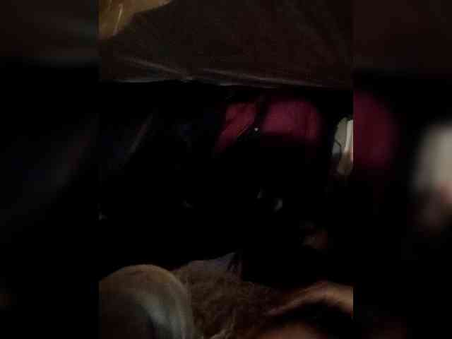 Dely webcam