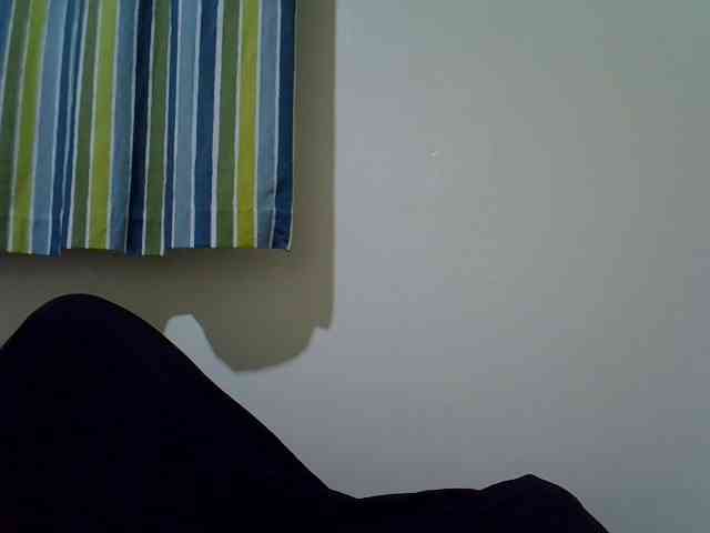 Ebony-Quinter webcam