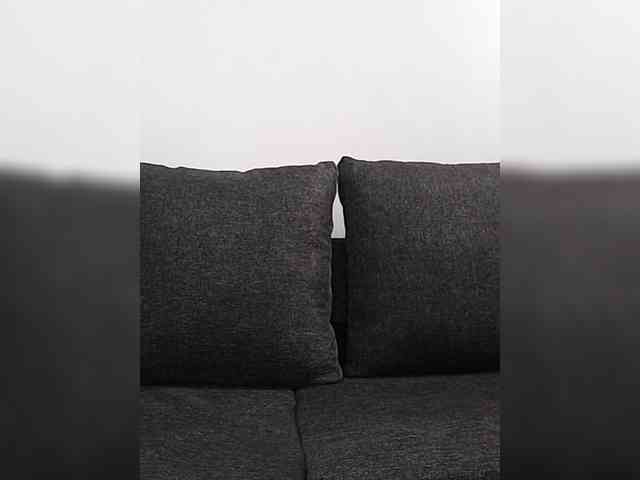 Just-c webcam