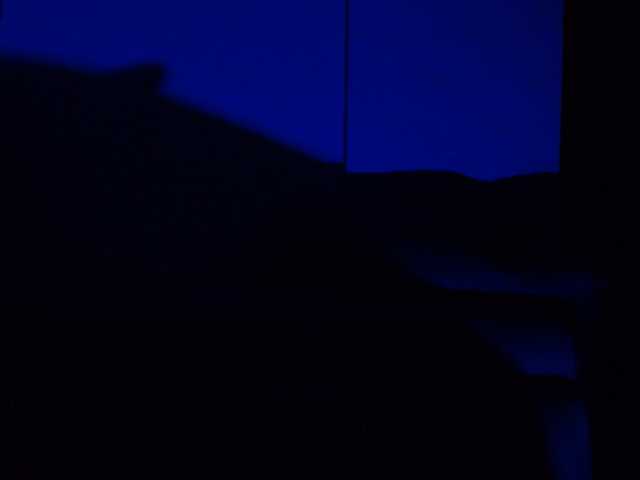 Miia-Velvet live cam on BongaCams