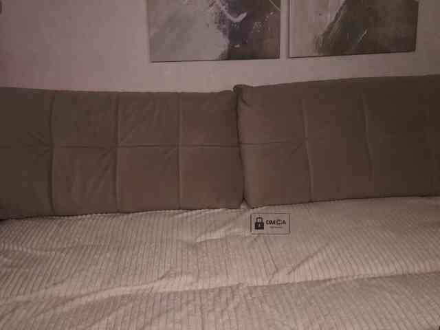 Alicelame webcam