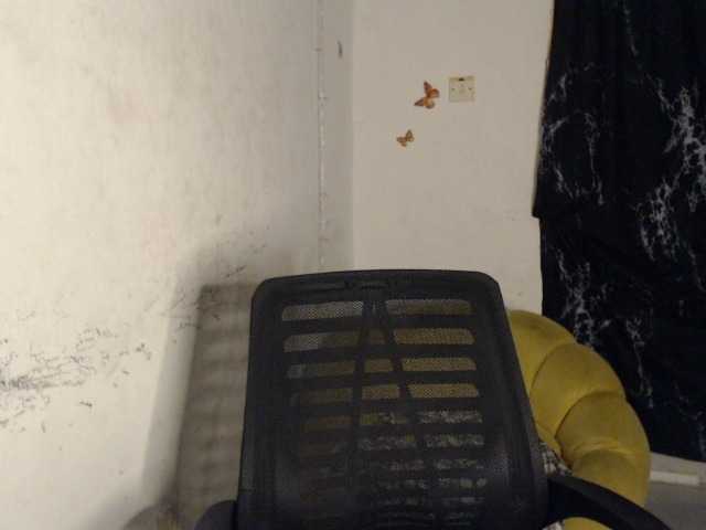 Eboni-hotboobs live cam on BongaCams