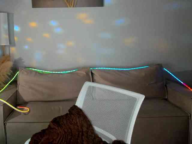 Kity-Mooree webcam