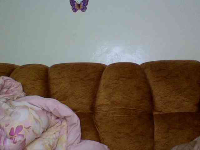 Prettiea webcam
