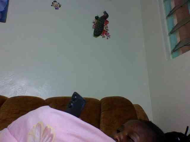 Prettiea webcam