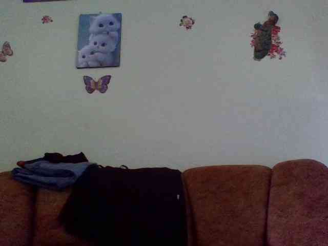 Prettiea webcam