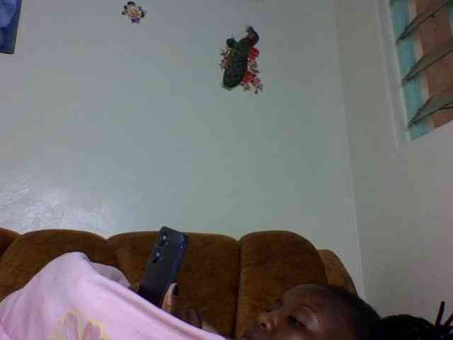 Prettiea webcam