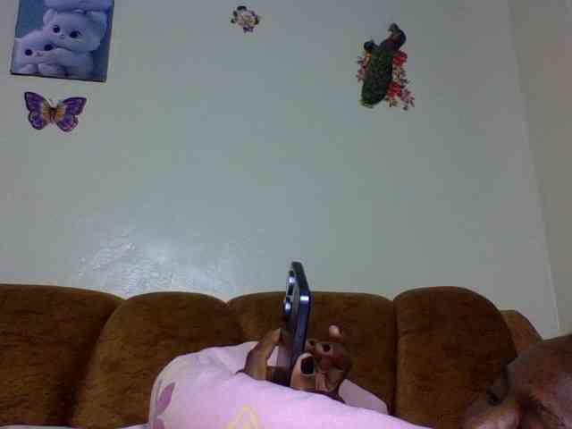 Prettiea webcam