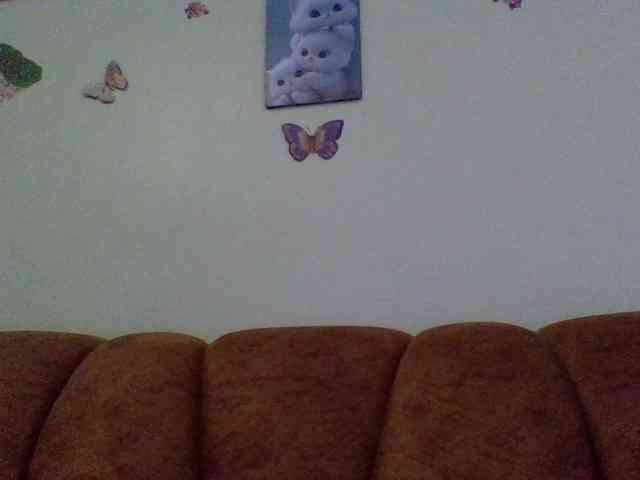 Prettiea webcam