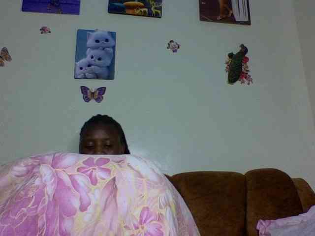 Prettiea webcam