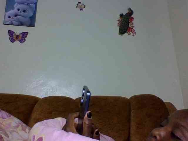 Prettiea webcam