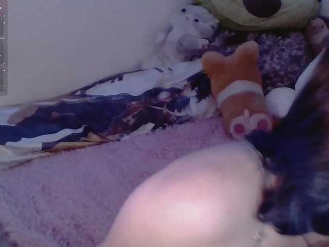 LillyShy live cam on BongaCams