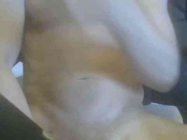 CuteMuscledAnaconda