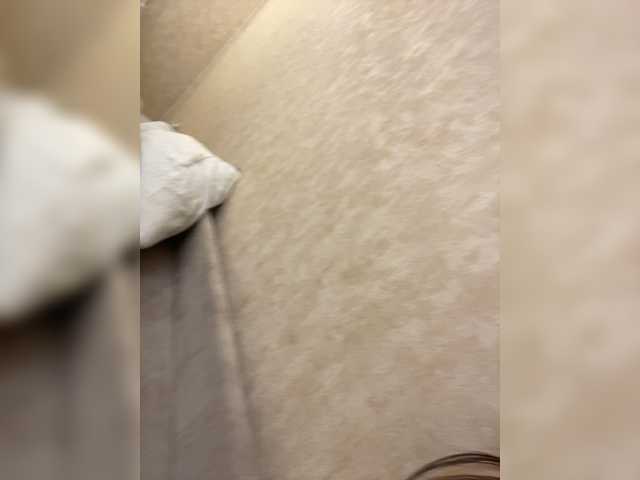 Kissa18M