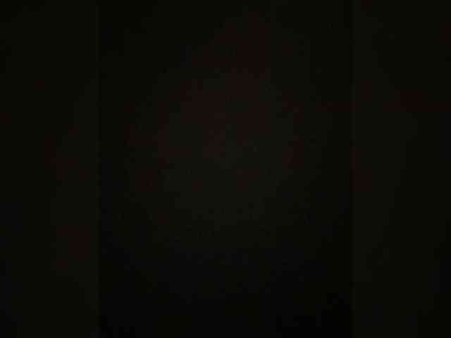 Kissa18M webcam