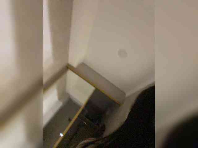 Kissa18M webcam