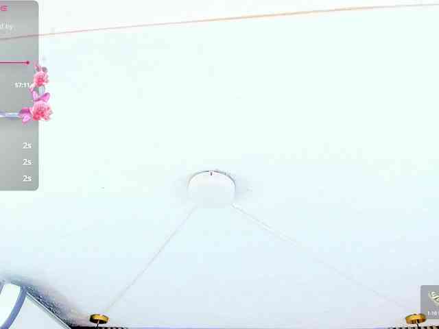 samarabloson webcam